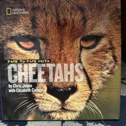 Face To Face Cheetahs National Geographic Book 