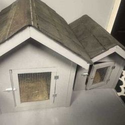  Dog Houses