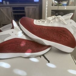 Air Jordan 11 All Star West Nike