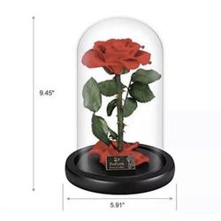 Beauty and the beast eternal rose