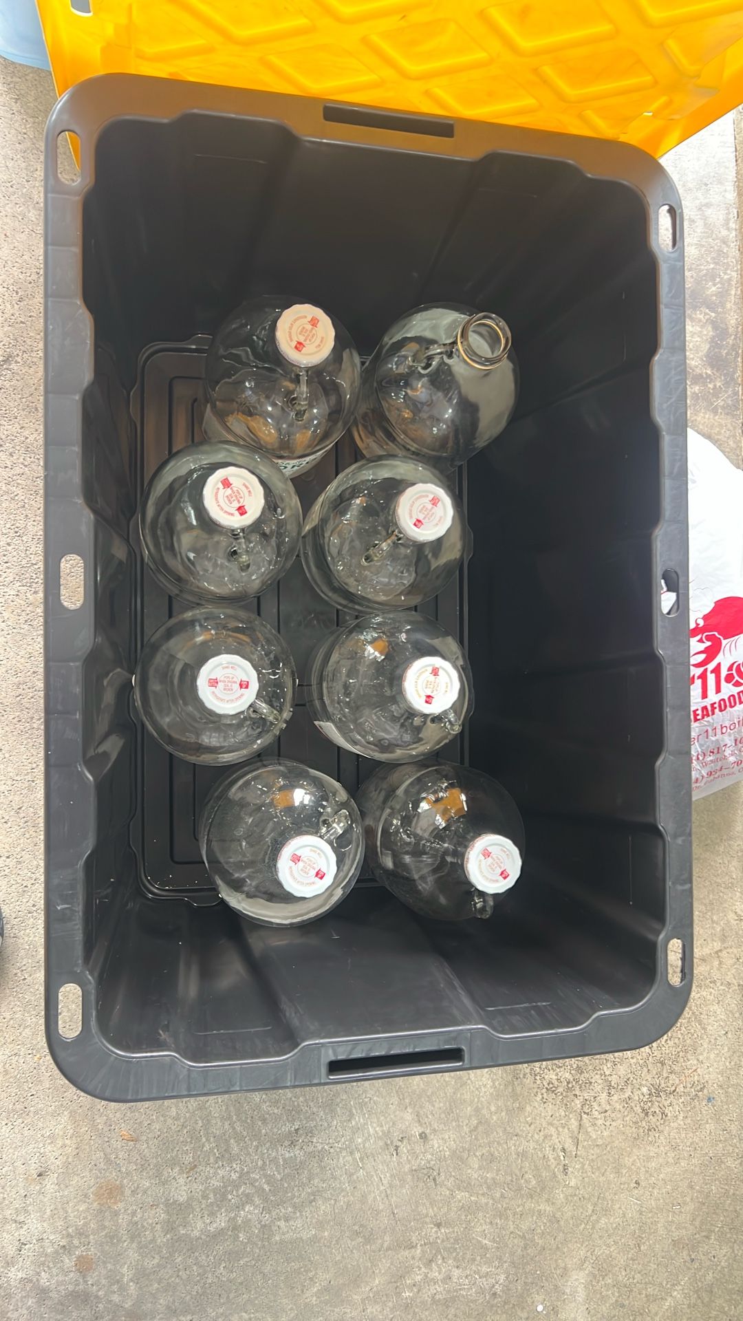 Lot Of Glass Growlers 