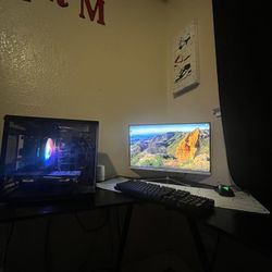 Whole Gaming Setup 
