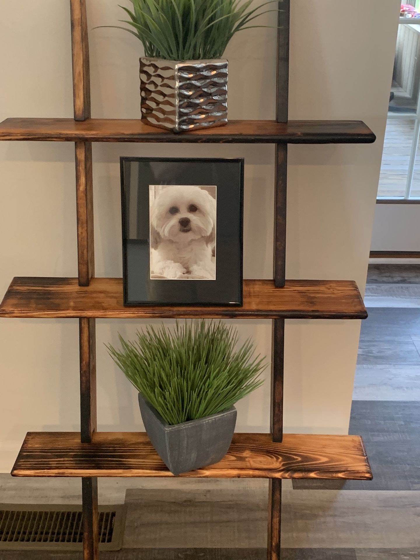 Display/ Plant Shelf