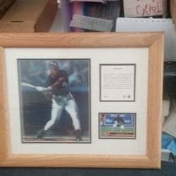 Frank Thomas Memorabilia 