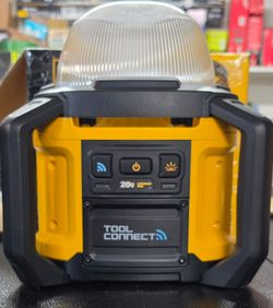 Dewalt 20v all purpose light