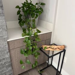 Money plant in metal planter