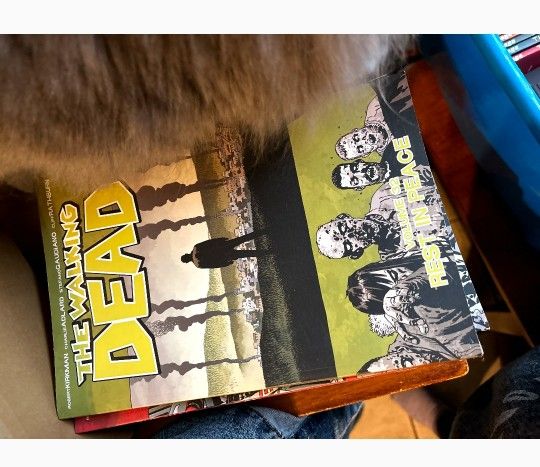 The Walking Dead Full 32 Book Set