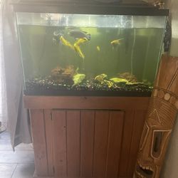 30 Gal  Fish Tank