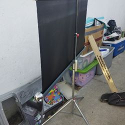Projector Screen W/Stand & Carry Bag 