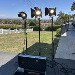 ARRI 650 Plus + 2x 300 Plus Tungsten Fresnels w/ Barn Doors, Stands, Scrims & ARRI Case – Fully Working