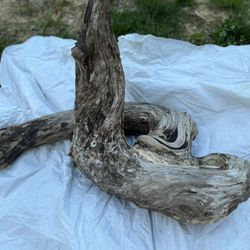 Organic Driftwood