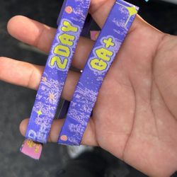 HARD SUMMER GA+ SUNDAY ONLY