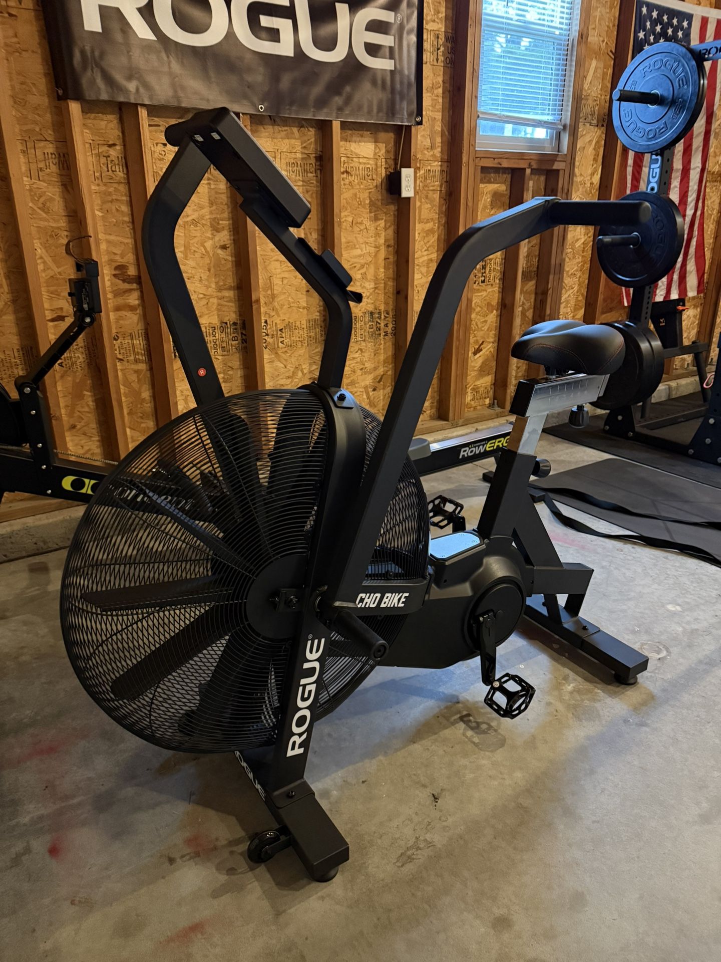 ROGUE ECHO BIKE V3.0