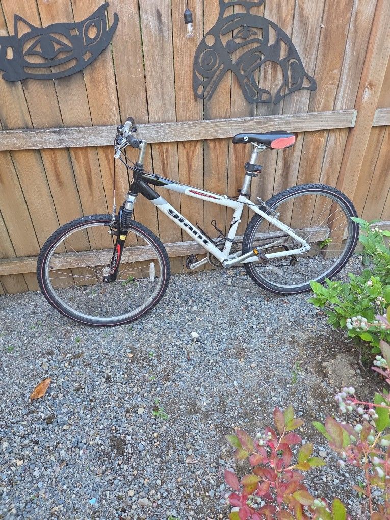 Giant Rincon Bike