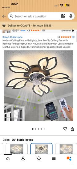 Fan with remote