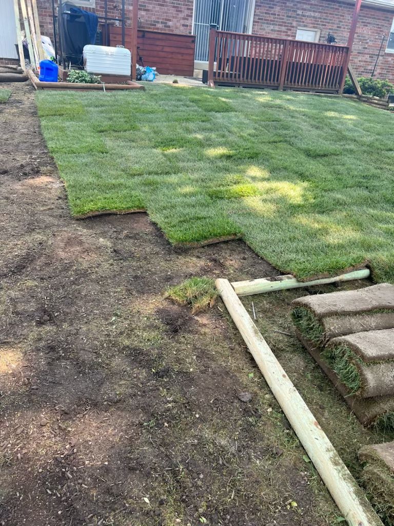 Fresh Sod