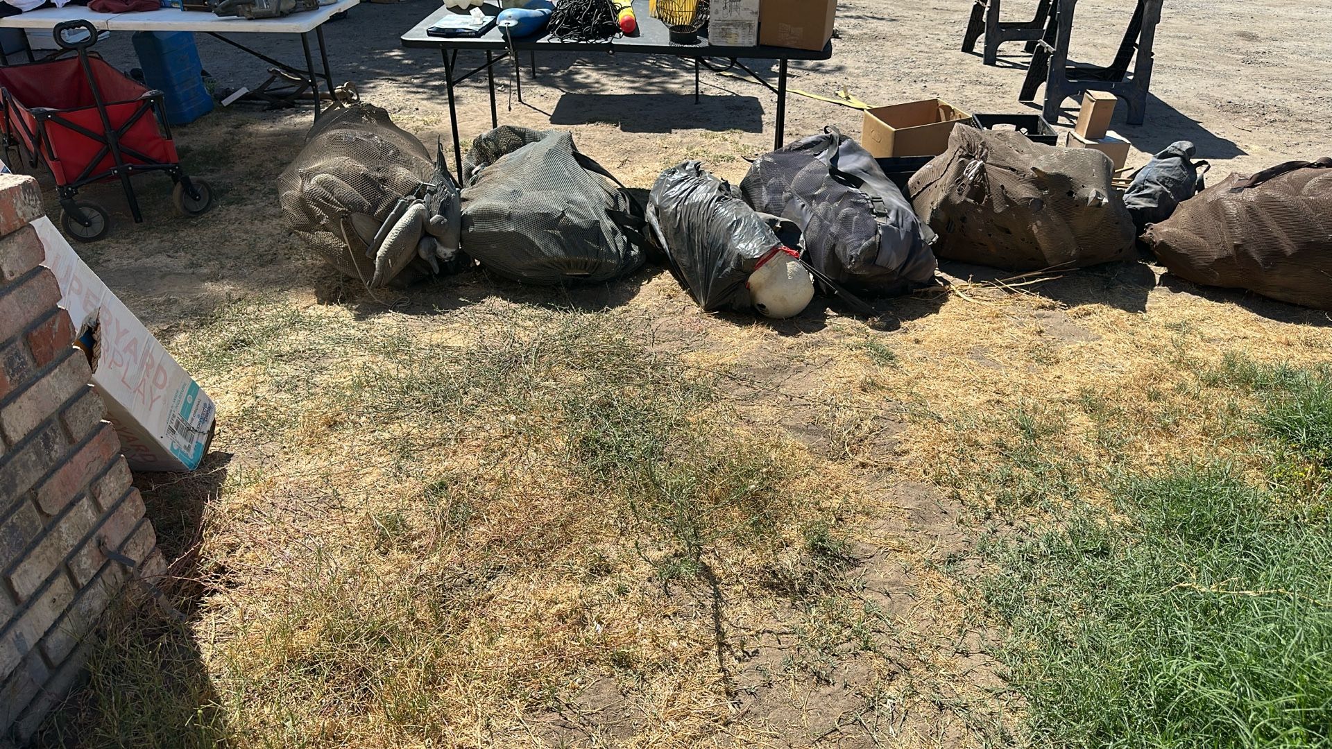 Dock decoys
