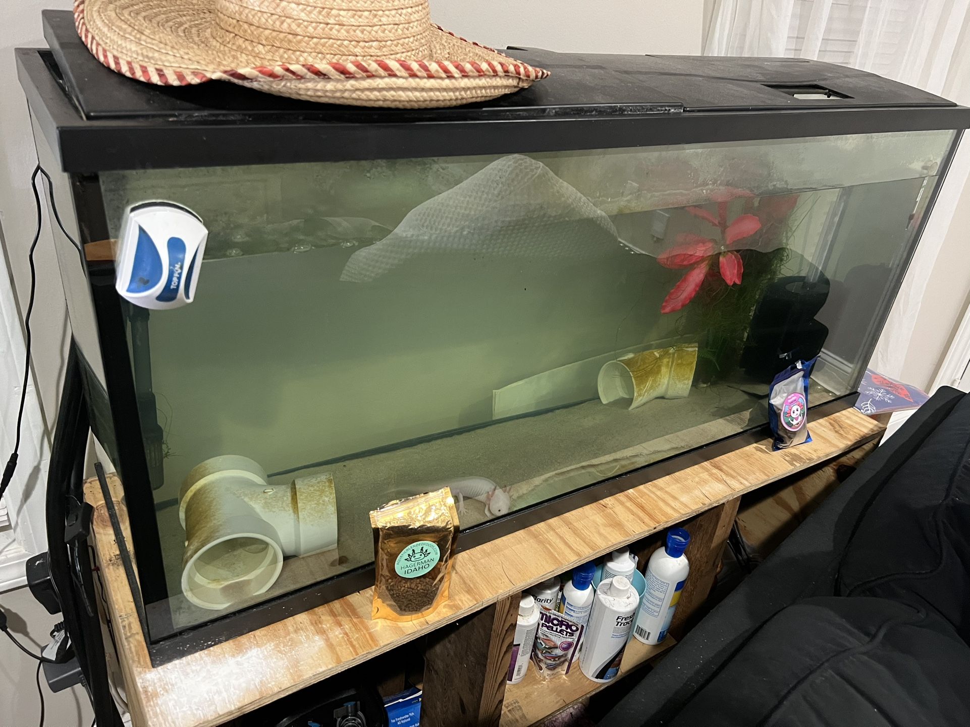 55 Gallon Tank