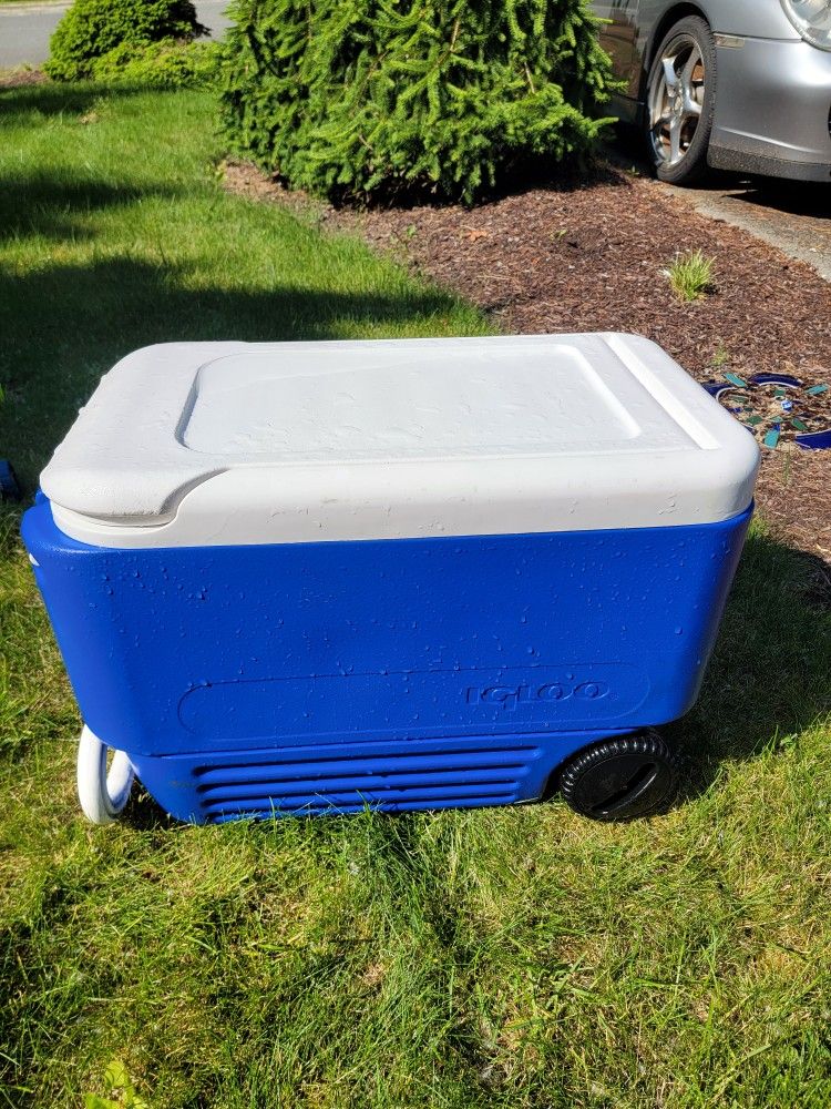 Medium Igloo Cooler