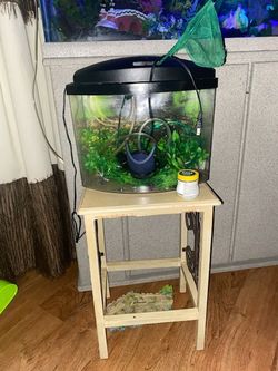 15g aquarium