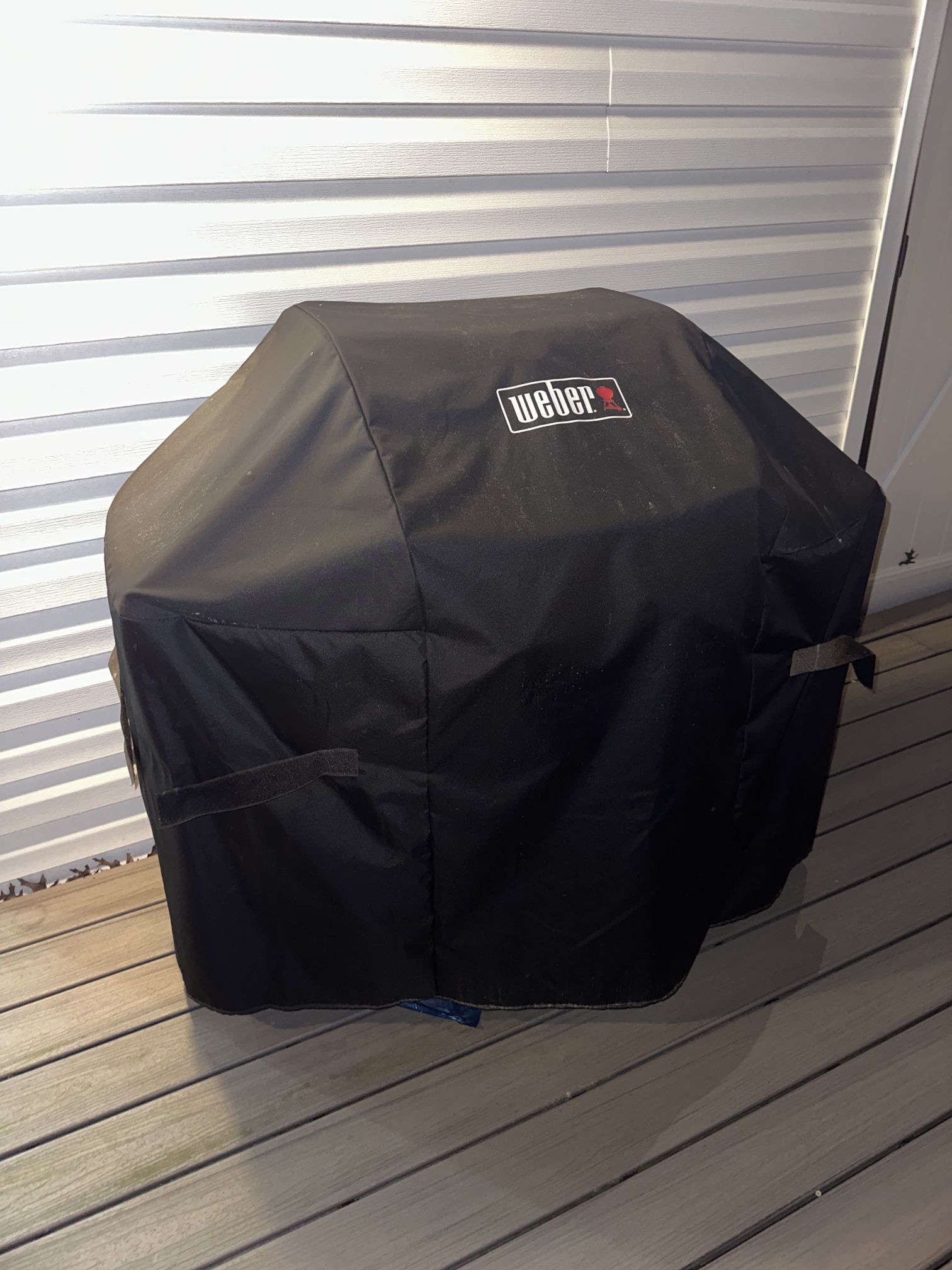 Webster Spirit II grill