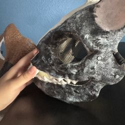 Painted Halloween Mask 