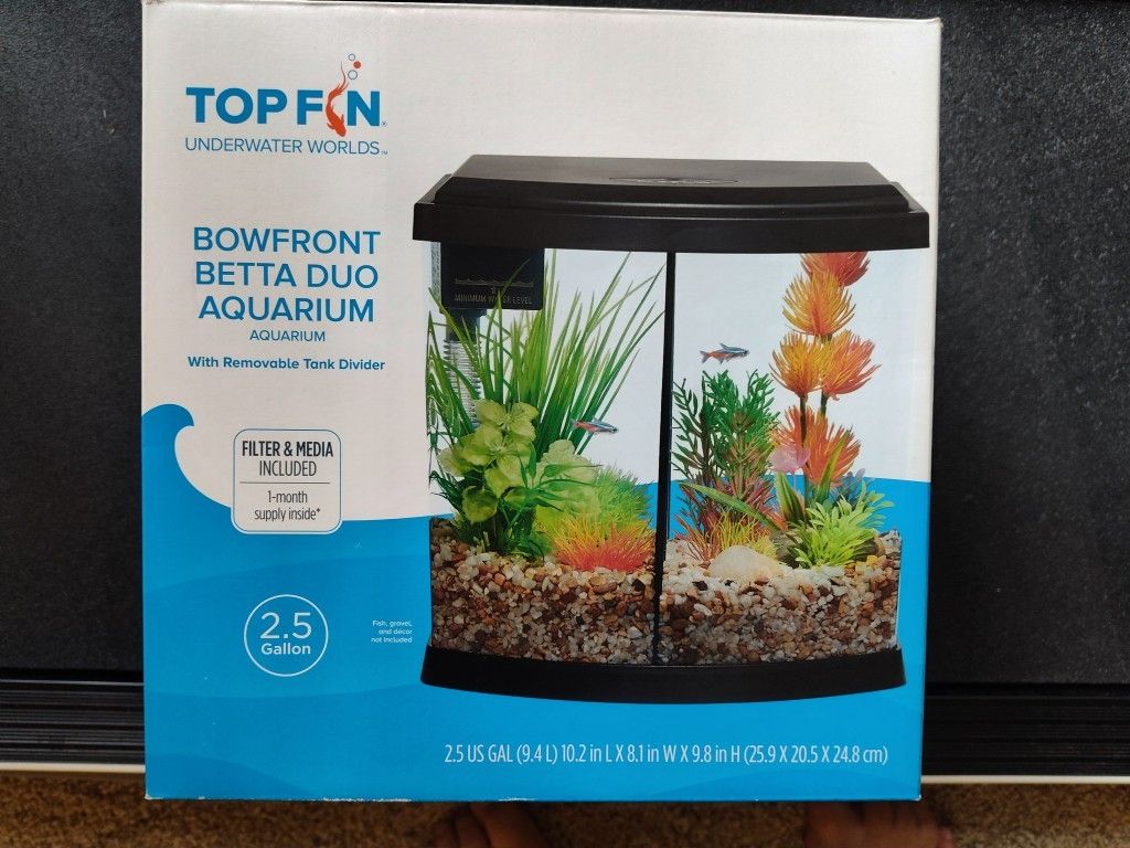 Bowfront Aquarium
