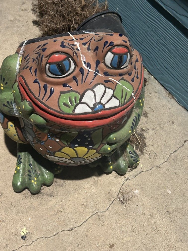 Frog Flower Pot