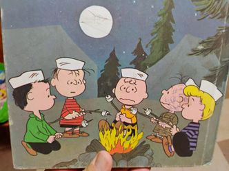 Vintage 1970s charlie brown peanuts book