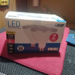 2Pac Outdoor Flood Light
