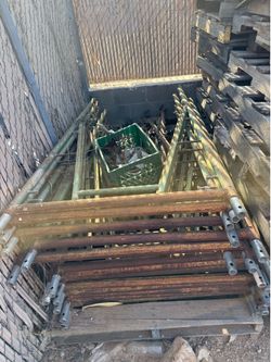 Scaffolds