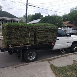 Grass Sale