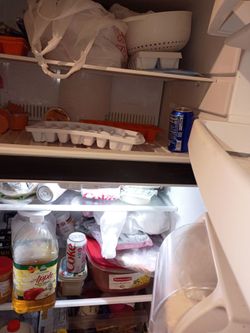 Fridge