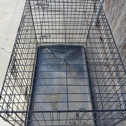 Jaula de  perro  grande