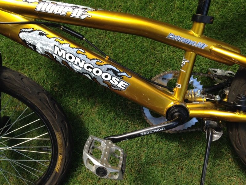 Mongoose hoop best sale d extreme air