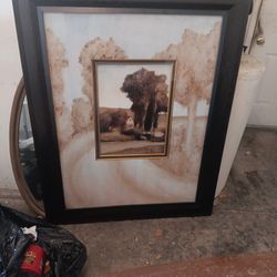 Picture Of Tree 