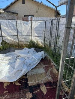 Dog kennel 10x10