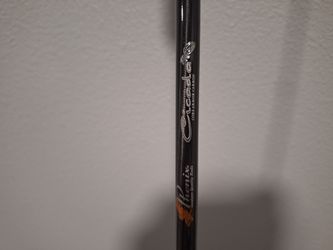 Phenix Rods CICADA Casting / 10' / 2 PC / 10-30 LB 1-6OZ PHX-CAX-C1007-2