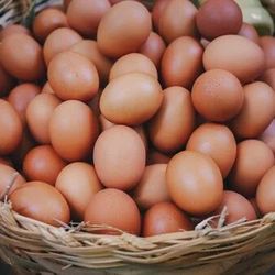 Fresh Eggs+ Chicken Plz Text Don't Call