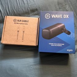 Professional Microphone 