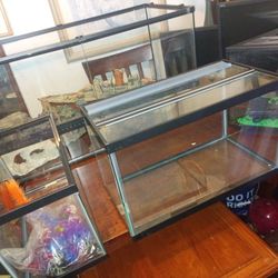 Pet Tanks Just $15- $35