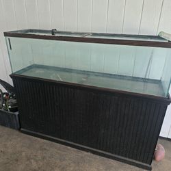 XL Fish Tank & Stand  $250