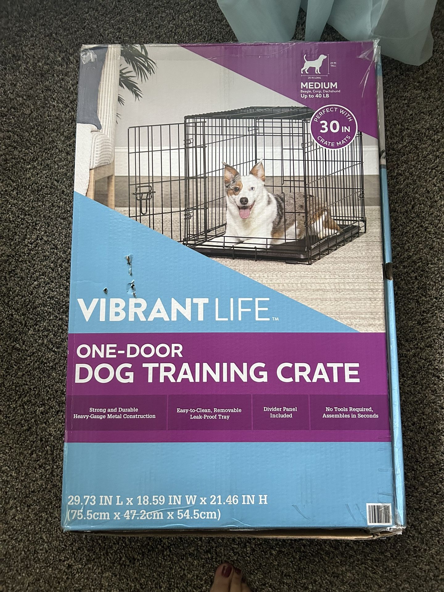 Medium Dog Crate