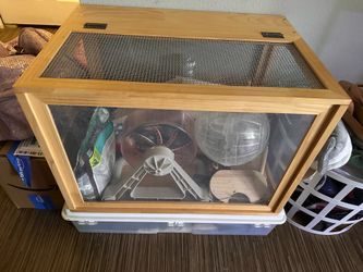 Hamster Set Up
