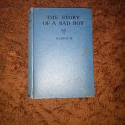 Book The Story Of A Bad Boy