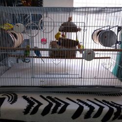 BIRD CAGE 
