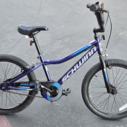 Schwinn Bicycle 20 In