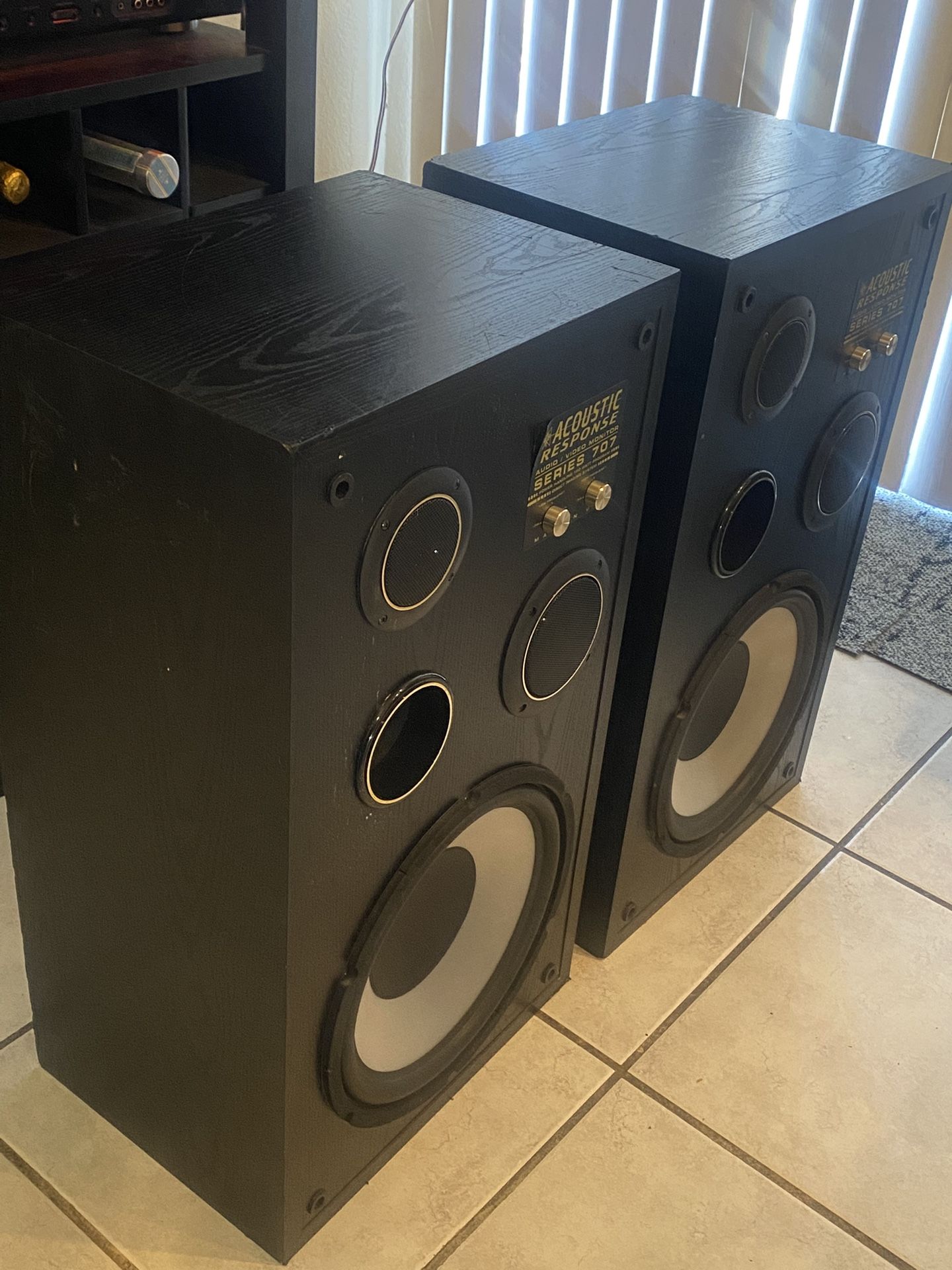 12” Acoustic Speakers (pair)