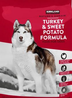 Kirkland dog food Turkey and Sweet Potato