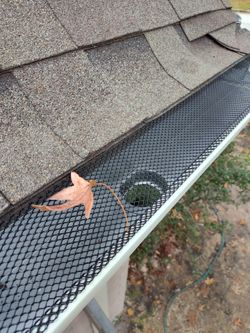 Seamless Gutters 1ft